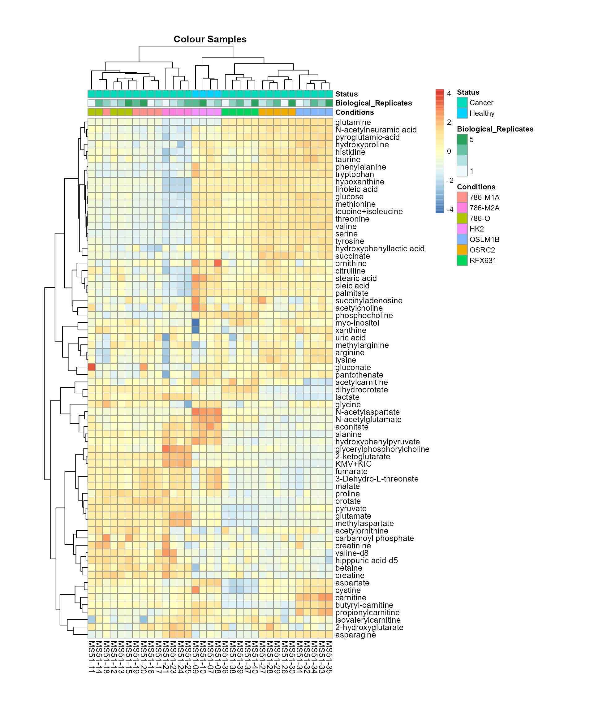 Colour for sample metadata.