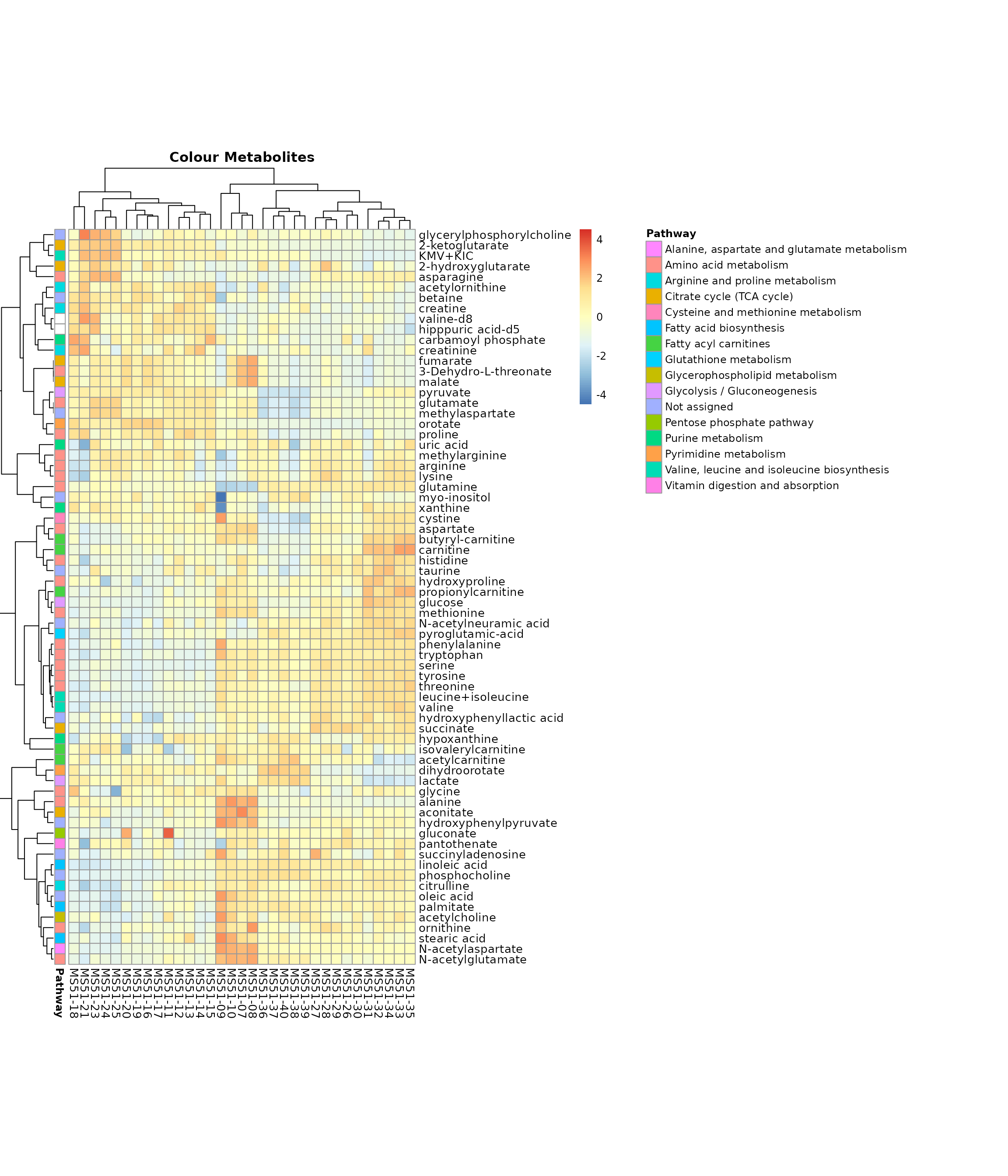 Colour for metabolite metadata.