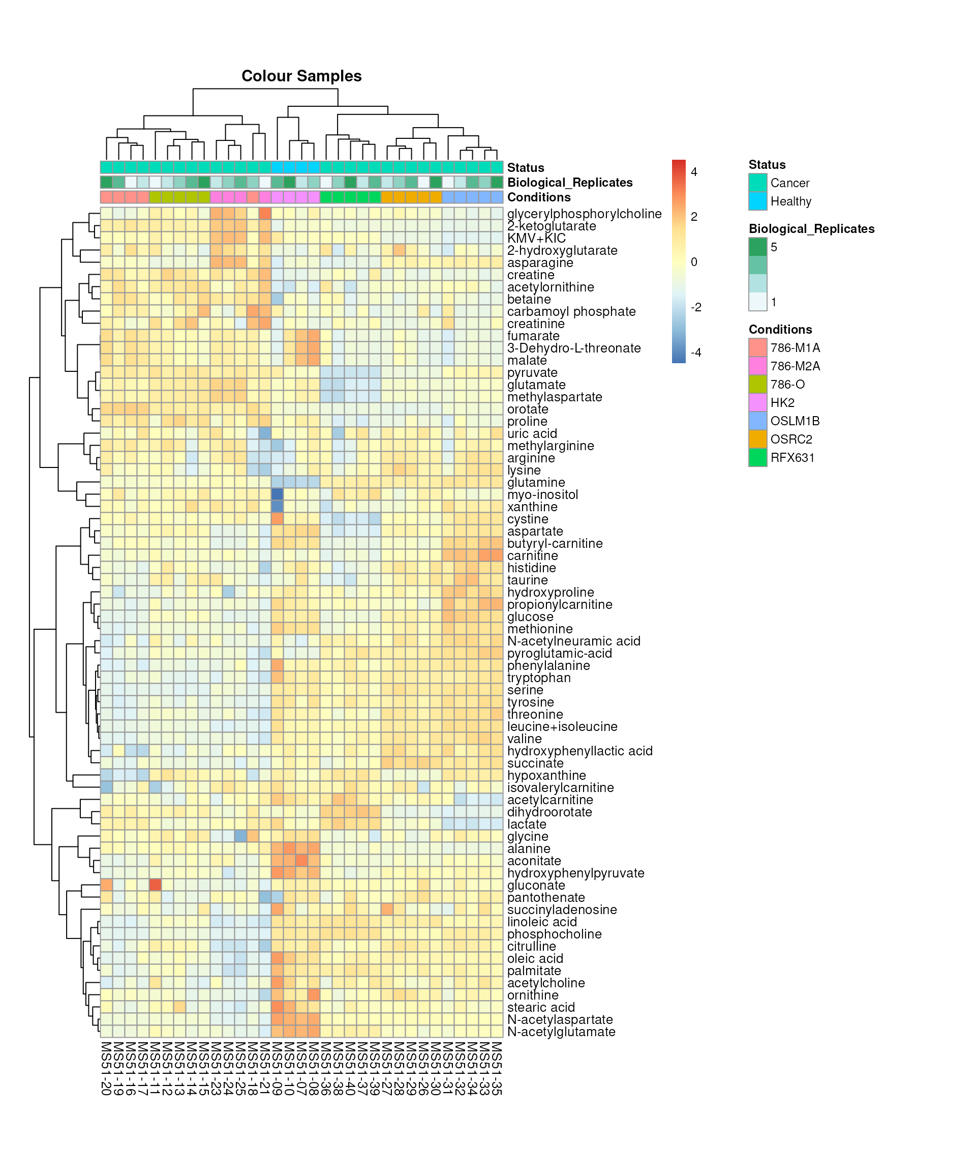 Colour for sample metadata.