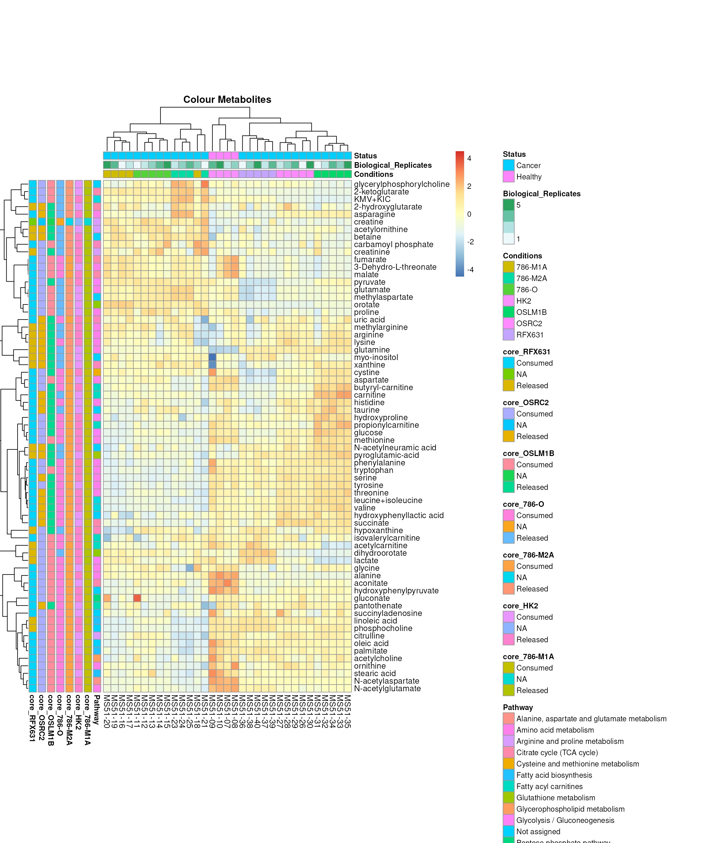 Colour for metabolite metadata.