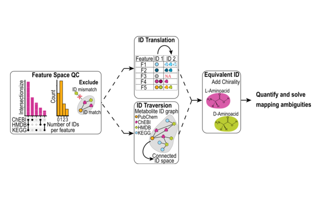 Scheme of the ID processing workflow