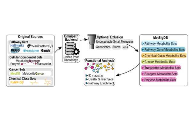 Overview of the MetSigDB resources