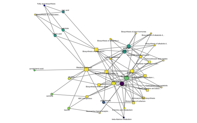 Network of metabolites and the KEGG pathways they share