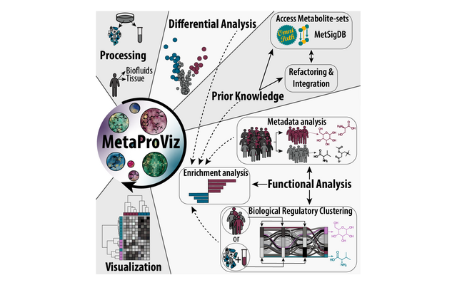 Overview of MetaProViz modules