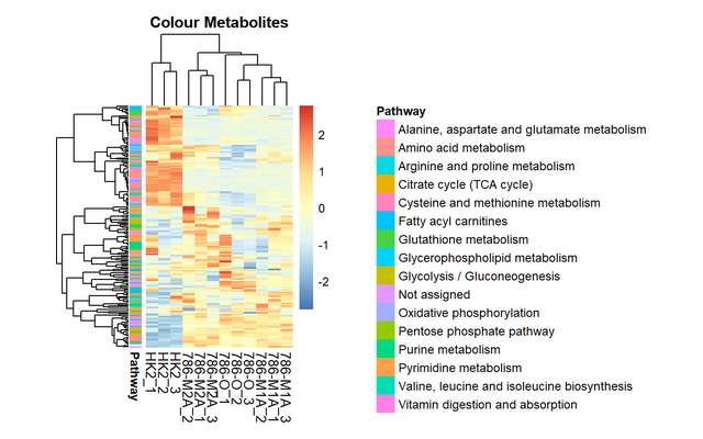 Heatmap of metabolites coloured by pathway